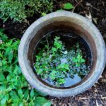 Zahradník vám řekne: nikdy nechoďte orát zahradu v tomto počasí