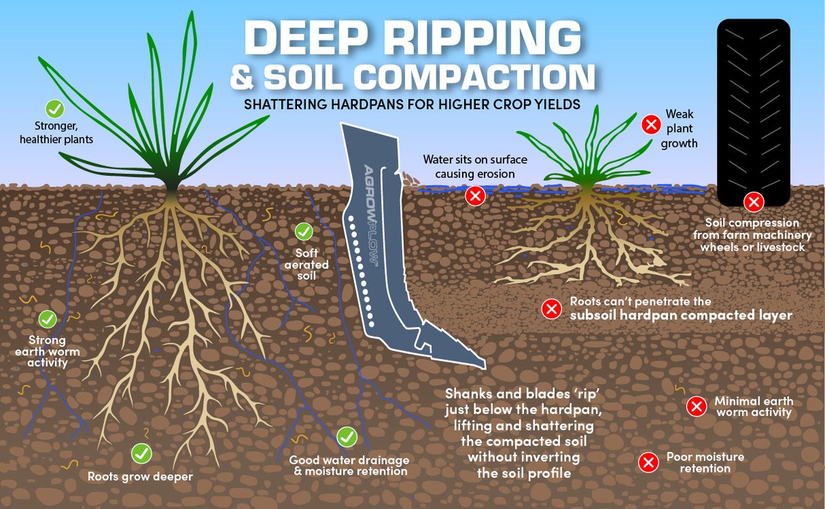 Zahradník vám řekne: nikdy nechoďte orát zahradu v tomto počasí - image 2